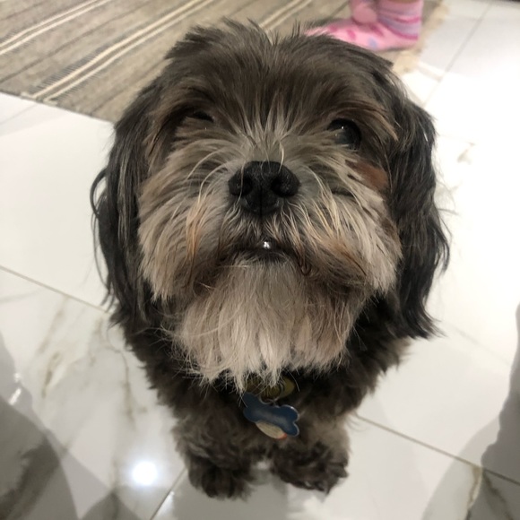 Meet your Posher Ella - Picture 13 of 14